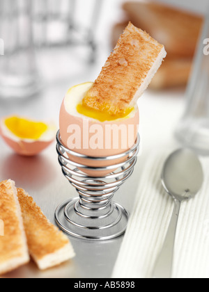 BOILED EGG Stock Photo