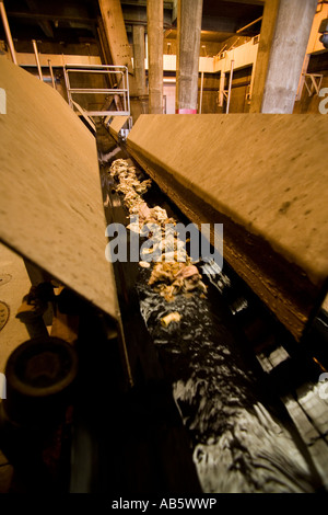 Large and nonorganic materials strained from waste water flow down a channel at a water treatment plant. Stock Photo