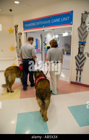 A husband and wife team of dog owner trainers bring their specially trained therapy dogs to a childrens hospital Stock Photo