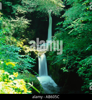 Double waterfall on Hoar Oak Water in dappled spring sunshine at Watersmeet on Exmoor Devon England Stock Photo