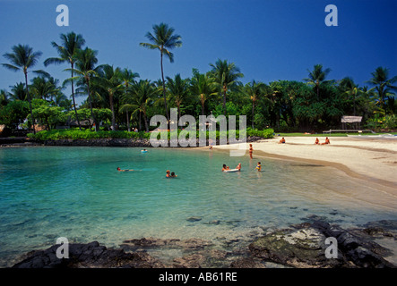 People swimming swimmers Kamakahonu Beach near King Kamehameha's Kona Beach Hotel Kailua Kona Hawaii Island Hawaii United States Stock Photo
