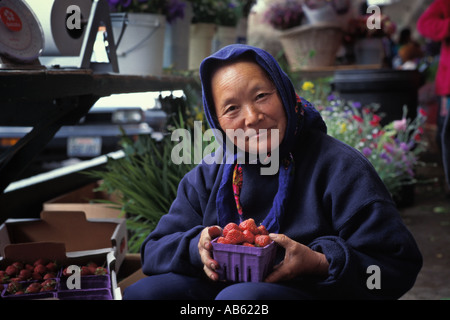 Laotion Hmong Woman Sorts Prepares Fresh Strawberries Grown On Family Farm For Sale At Farm Table Pike Place Market Seattl Stock Photo
