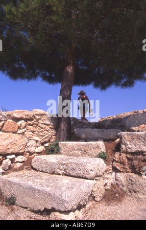lone tree at Vouni Northern Cyprus Stock Photo