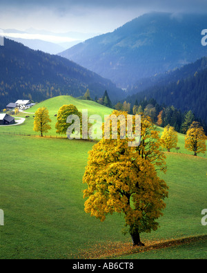 AT - STYRIA:  Autumn landscape in the Ramsau Stock Photo