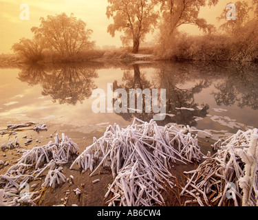GB - WORCESTERSHIRE:  Winter along River Avon Stock Photo