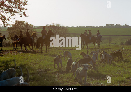 Early morning start to fox hunt in the Cotswolds village of Hazleton Gloucestershire Stock Photo