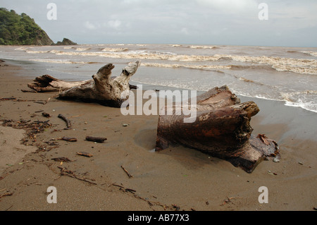 Driftwood on stormy Buena Vista Beach, close to Samara, Guanacaste Province, Costa Rica, Central America Stock Photo