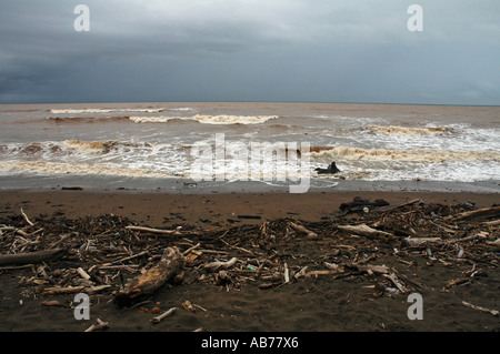 Driftwood on stormy Buena Vista Beach, close to Samara, Guanacaste Province, Costa Rica, Central America Stock Photo