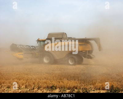 Mountnessing near Brentwood Essex New Holland CX860 combine harvester at work Stock Photo