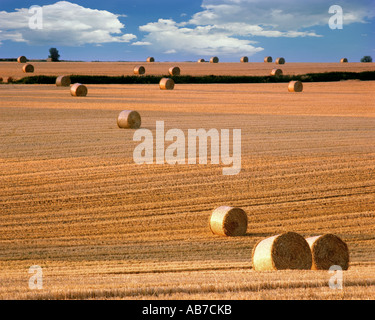 GB - GLOUCESTERSHIRE:  Harvest Time in the Cotswolds Stock Photo