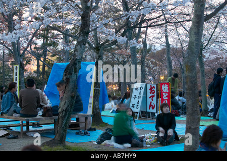 Hanami celebrations at Maruyama Koen , Kyoto , Japan Stock Photo