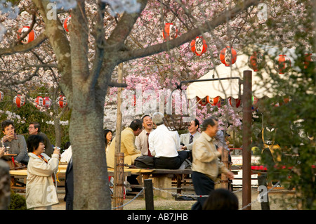 Hanami celebrations at Maruyama Koen , Kyoto , Japan Stock Photo