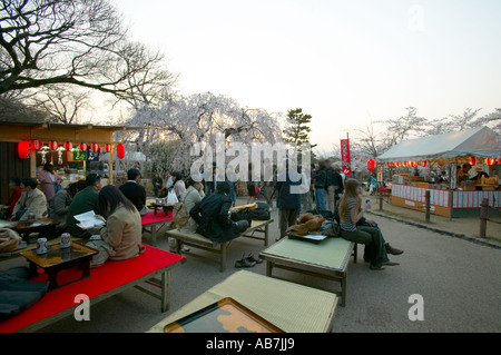 Hanami celebrations at Maruyama Koen , Kyoto , Japan Stock Photo