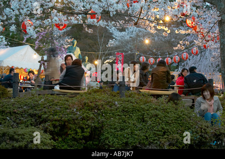 Hanami celebrations at Maruyama Koen , Kyoto , Japan Stock Photo