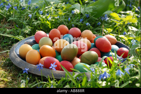 Easter eggs in the grass Stock Photo