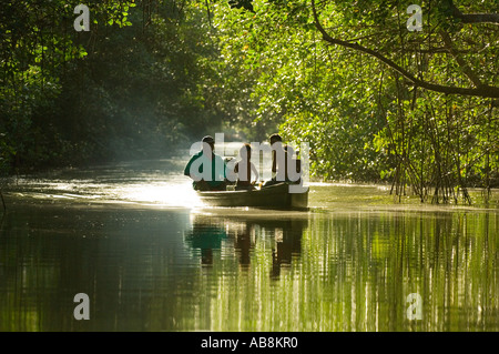 West Indies Trinidad Caroni Bird Sanctuary Boat with tourist navigating through mangrove swamp Caroni Bird Sanctuary Stock Photo