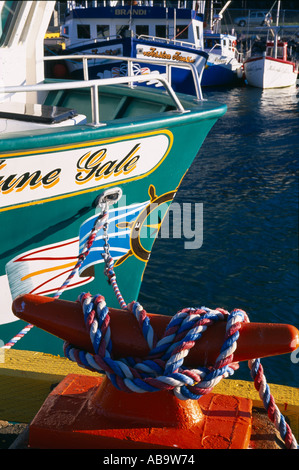 Fishing boats in St Johns Harbour Newfoundland Canada Stock Photo