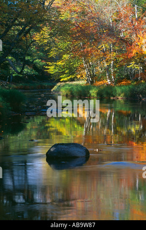 Autumn Mersey River nr Kejimkujik National Park Nova Scotia Canada Stock Photo