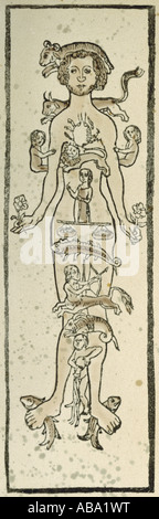 medicine, treatment, bloodletting, venesection and zodiac, coloured woodcut, calendar, circa 1500, Stock Photo