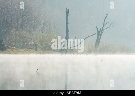 Early morning haze low over peaceful lake divided horizontally, Lepenica in Croatia Stock Photo