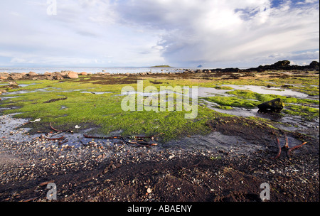 Pladda Lighthouse, near Kildonan,  Arran, West Coast of Scotland, UK Stock Photo