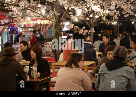 Cherry Blossom Party or a Hanami in Maruyama Koen Park, Kyoto, Japan Stock Photo