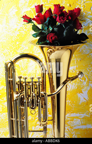 Brass tuba with red roses Stock Photo