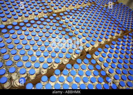 mass production of vials on a factory assembly line Stock Photo