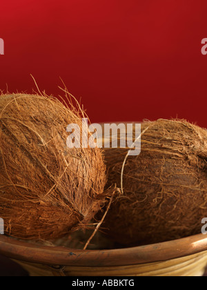 Two Coconuts on an orange background Stock Photo