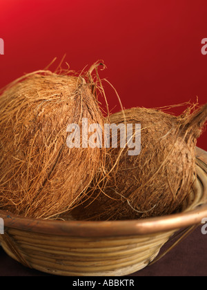 Two Coconuts on Orange Background Stock Photo