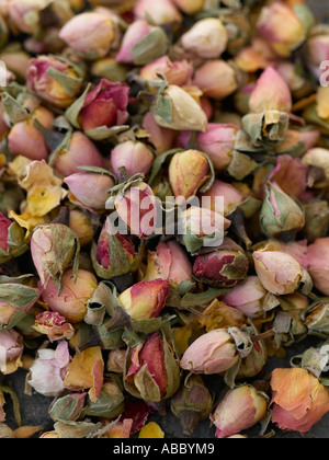 Dried rosebuds shot with Hasselblad medium format digital Stock Photo