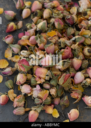 Dried rosebuds shot with Hasselblad medium format digital Stock Photo