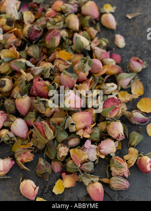 Dried rosebuds shot with Hasselblad medium format digital Stock Photo