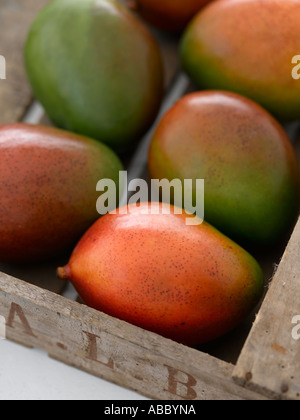 Fresh ripe mangoes - 61mb hi res Hasselblad pro digital file Stock Photo