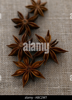 Satr anise - high end Hasselblad 61mb digital image Stock Photo