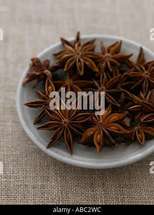 Star anise - high end Hasselblad 61mb digital image Stock Photo
