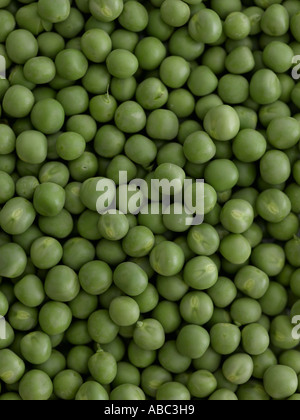 Close up of fresh peas - high end Hasselblad 61mb digital image Stock Photo