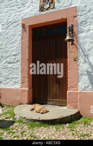 Dog sleeping in front of door with bell Stock Photo