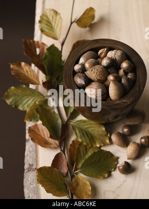 Mixed nuts and beech leaves - high end Hasselblad 61mb digital image Stock Photo