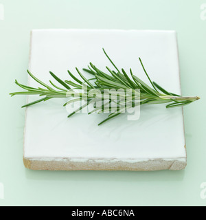 Rosemary sprig - one of a series of similar herb images Stock Photo