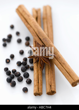 Cinnamon juniper and star anise - high end Hasselblad 61mb digital image Stock Photo
