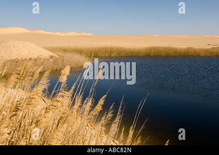 lake at Bir Wahed, the Great Sand Sea, Western desert near Siwa oasis, Egypt Stock Photo