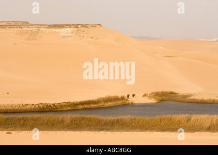 lake at Bir Wahed, the Great Sand Sea, Western desert near Siwa oasis, Egypt Stock Photo