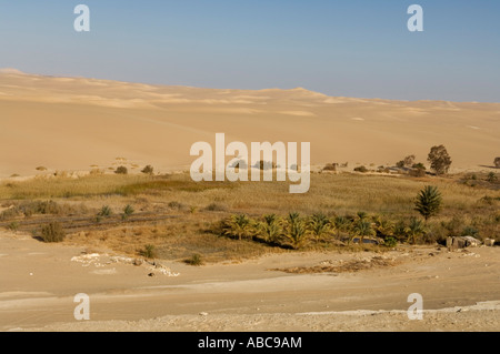 hot spring at Bir Wahed, the Great Sand Sea, Western desert near Siwa oasis, Egypt Stock Photo