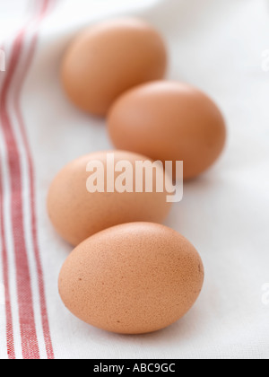 Eggs shot with Hasselblad medium format pro digital Stock Photo