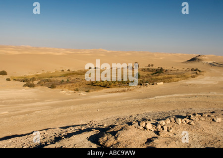 hot spring at Bir Wahed, the Great Sand Sea, Western desert near Siwa oasis, Egypt Stock Photo