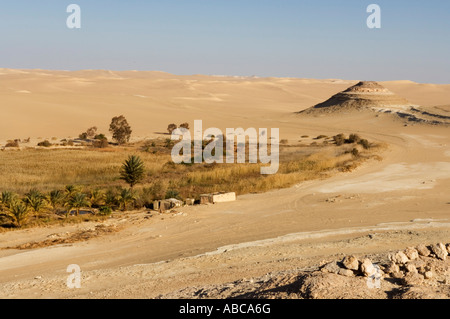 hot spring at Bir Wahed, the Great Sand Sea, Western desert near Siwa oasis, Egypt Stock Photo