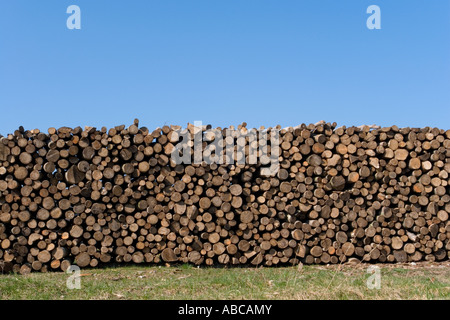 Pile of wood ready and neatly stored on grass Stock Photo