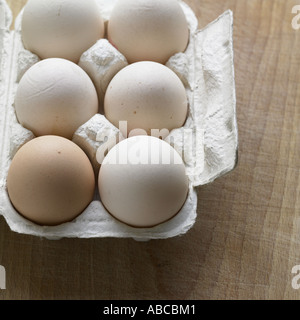 Eggs shot with Hasselblad medium format digital Stock Photo
