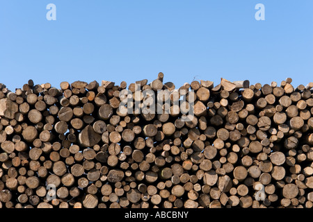 Pile of wood ready against blue sky Stock Photo